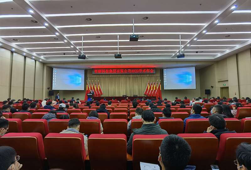 有研集團召開2020年學(xué)術(shù)年會