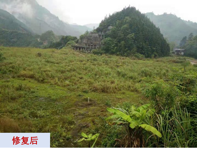 主題教育進(jìn)行時(shí) | “學(xué)思想、強(qiáng)黨性、重實(shí)踐、建新功”有研故事系列展播（十一）打造重金屬污染治理和生態(tài)環(huán)保的有研力量